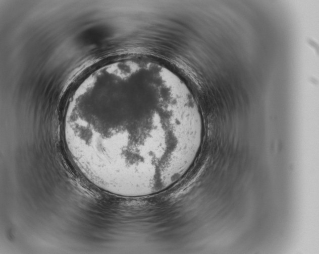 X0000096481117200802141715