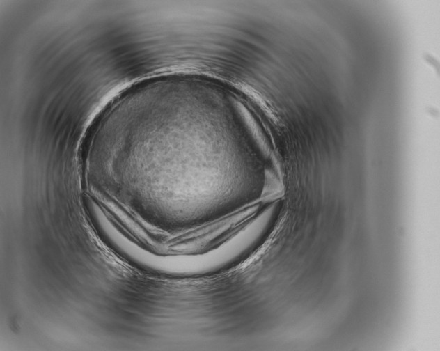 X0000096481118200802141715