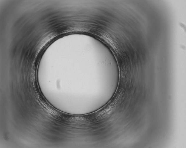 X0000096481119200802141715