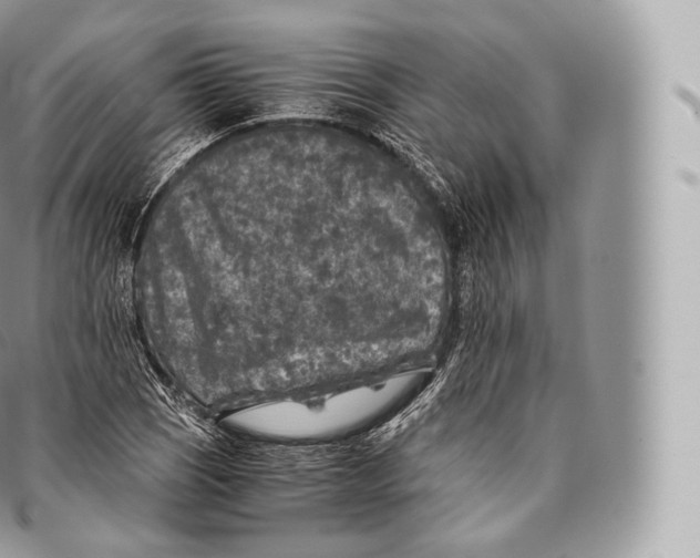 X0000096481121200802141715