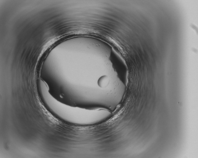 X0000096481122200802141715