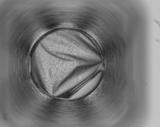 X0000096481123200802141715