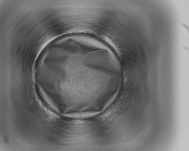 X0000096481124200802141715