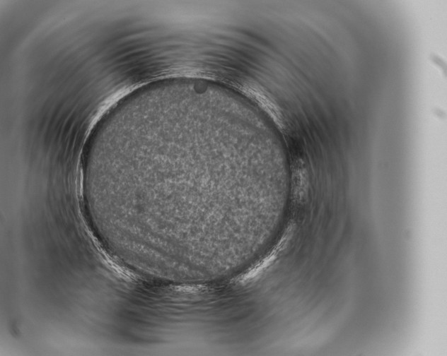 X0000096481125200802141715