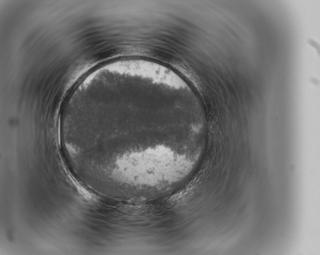 X0000096481127200802141715