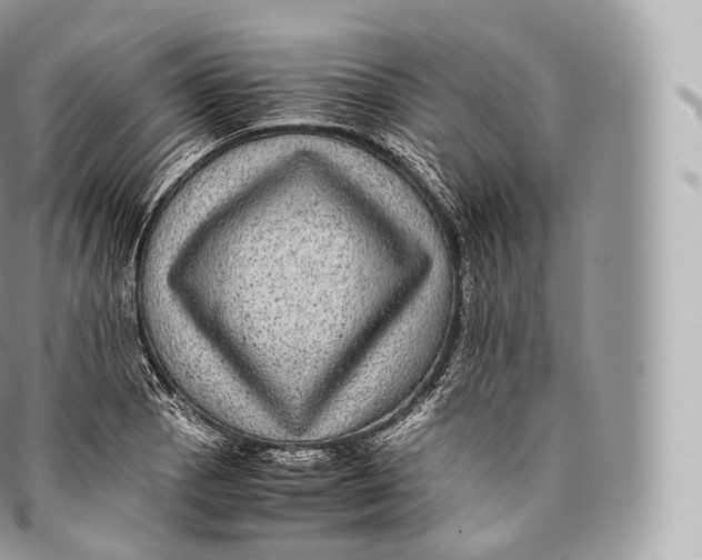 X0000096481129200802141715