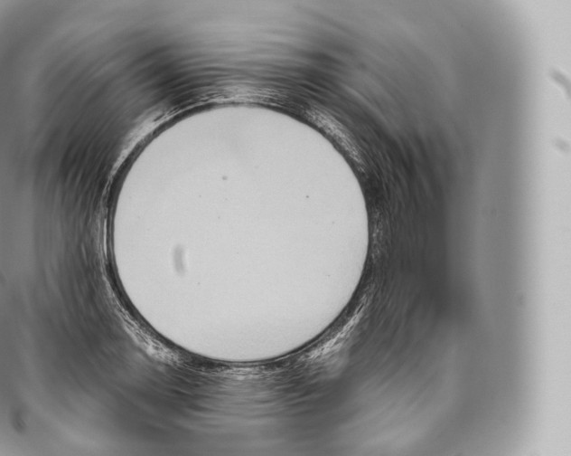 X0000096481130200802141715