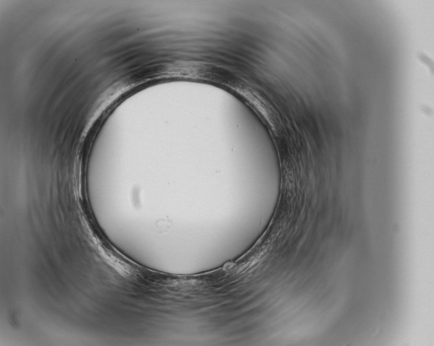 X0000096481131200802141715