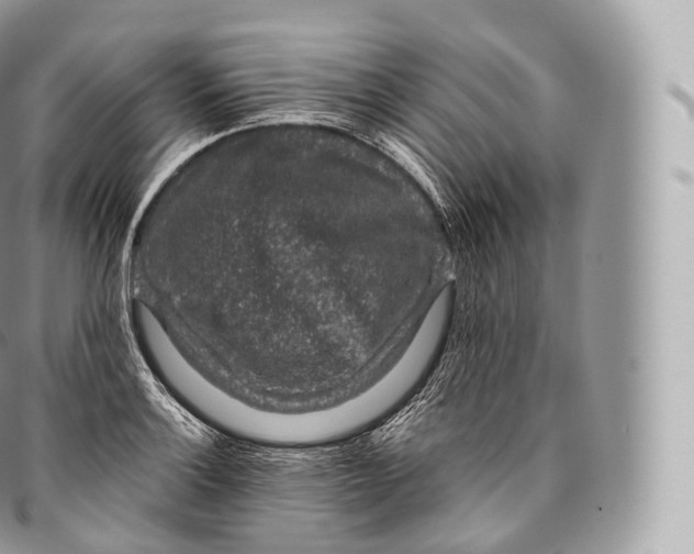 X0000096481132200802141715