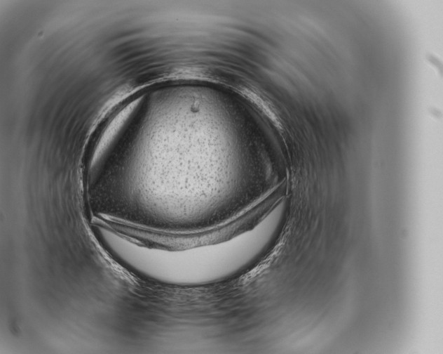 X0000096481133200802141715