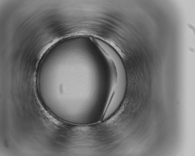 X0000096481134200802141716