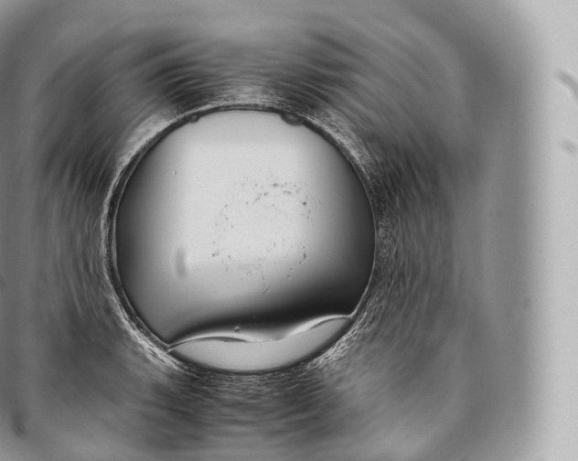 X0000096481135200802141716