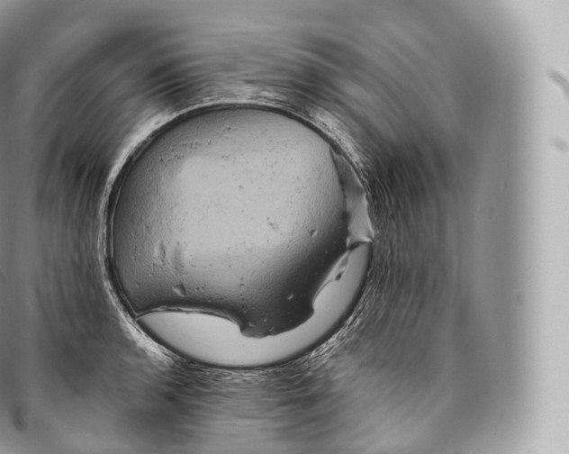 X0000096481136200802141716