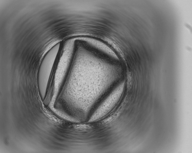 X0000096481137200802141716