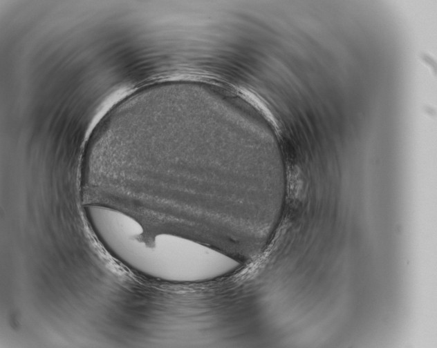 X0000096481138200802141716