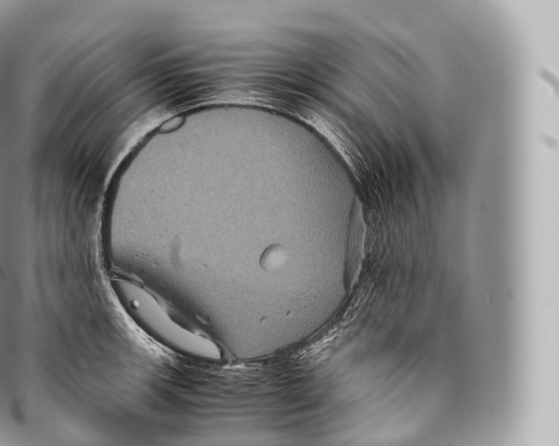 X0000096481139200802141716