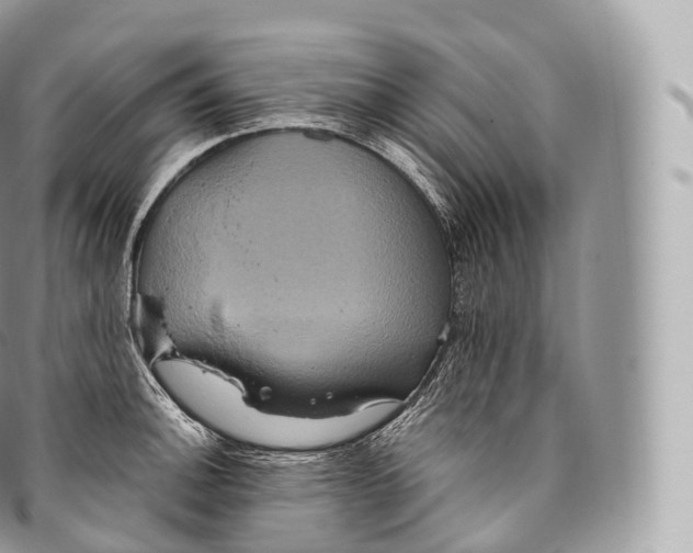 X0000096481140200802141716