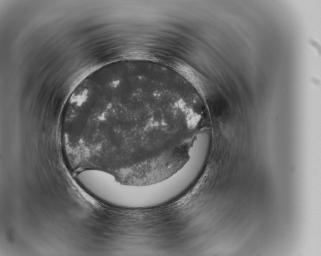 X0000096481141200802141716