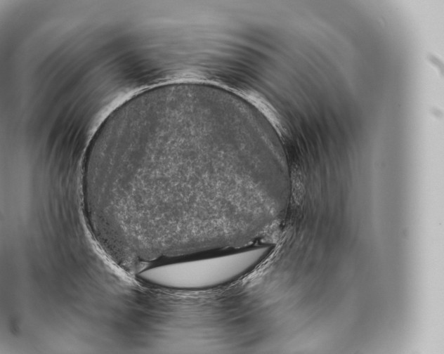 X0000096481142200802141716