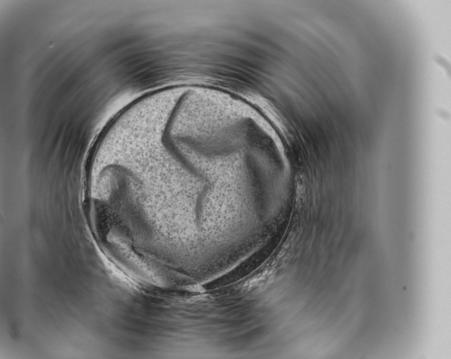 X0000096481143200802141716