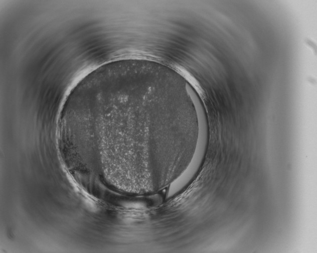 X0000096481144200802141716