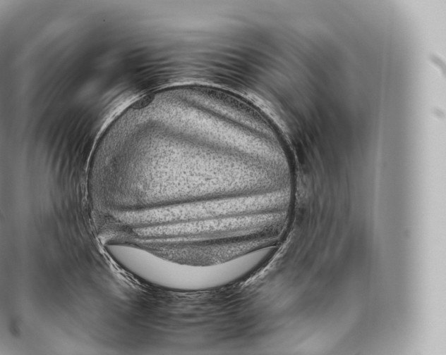 X0000096481145200802141716