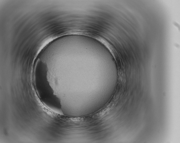 X0000096481147200802141716