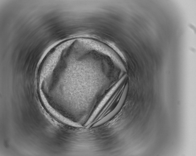 X0000096481148200802141716