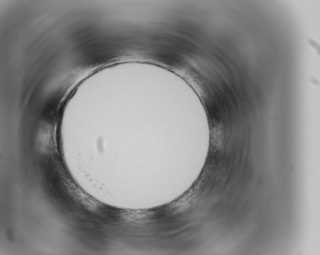 X0000096481150200802141716