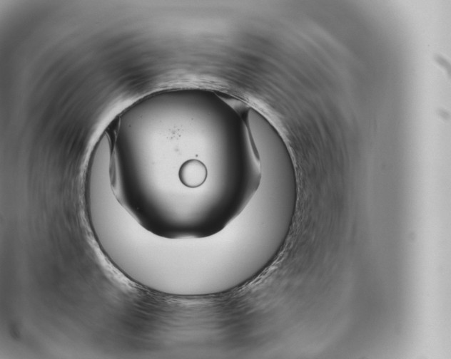 X0000096481152200802141716