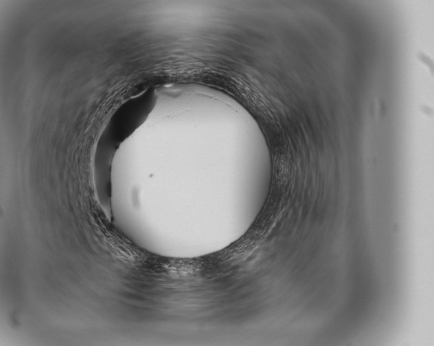 X0000096481153200802141715