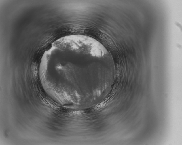 X0000096481154200802141715