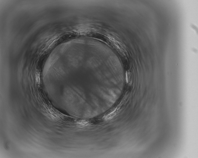 X0000096481155200802141715