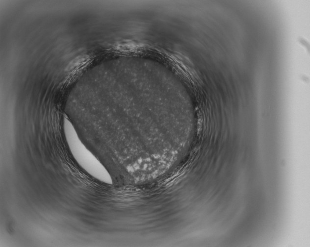 X0000096481156200802141715