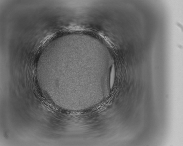 X0000096481157200802141715