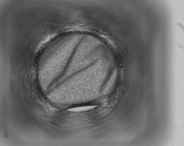 X0000096481159200802141715