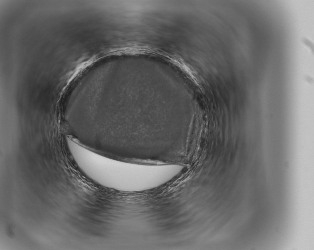 X0000096481160200802141715