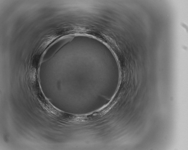 X0000096481161200802141715