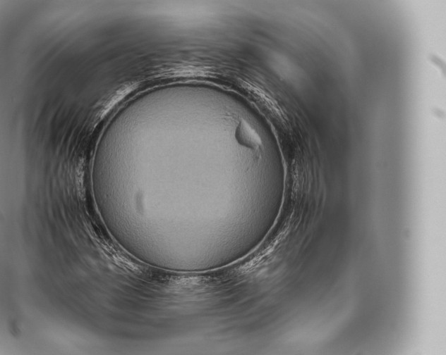 X0000096481162200802141715