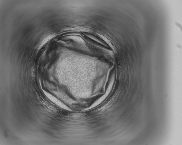 X0000096481163200802141715