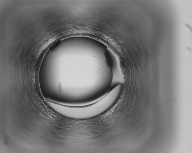 X0000096481165200802141715