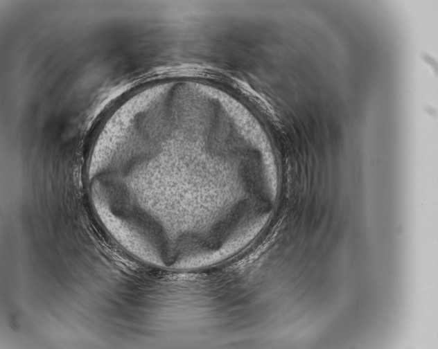 X0000096481166200802141715