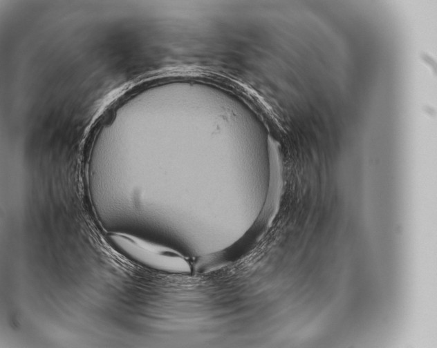 X0000096481168200802141715