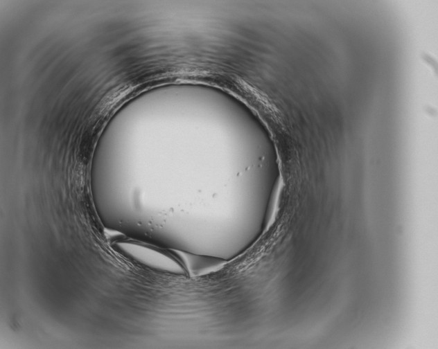 X0000096481169200802141715