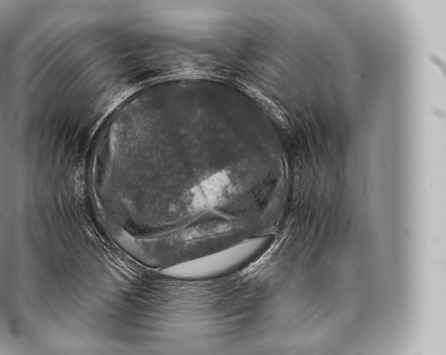 X0000096481170200802141715