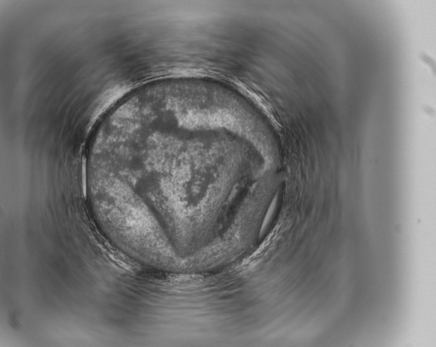 X0000096481171200802141715