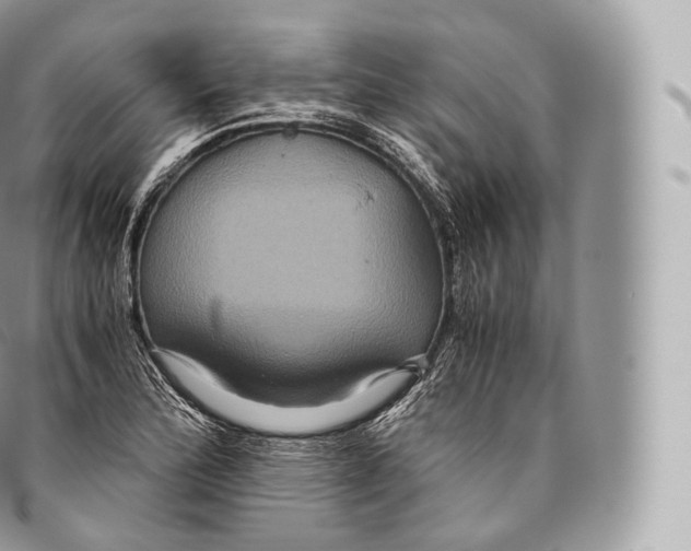 X0000096481172200802141715