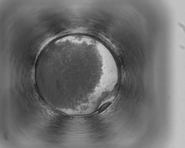 X0000096481174200802141715