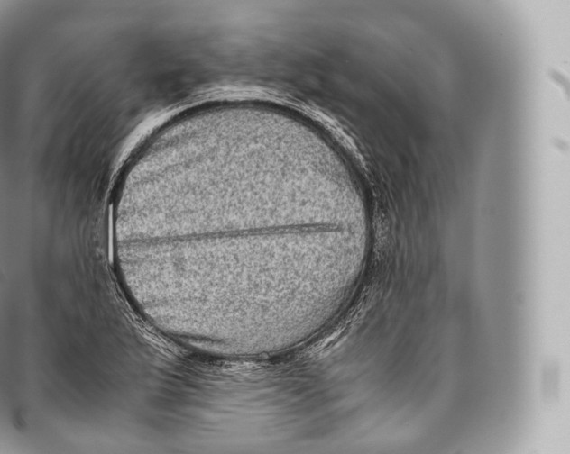 X0000096481175200802141715