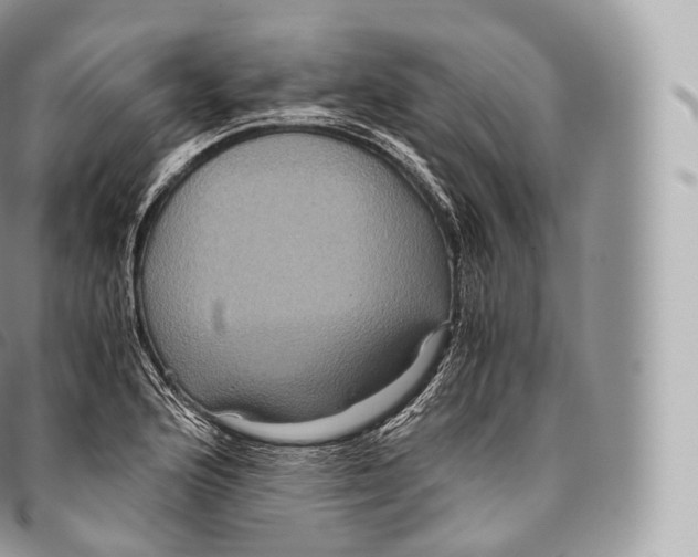 X0000096481176200802141715